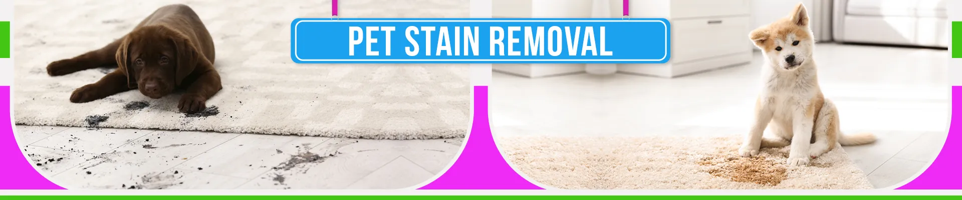 carpet cleaning in new York, carpet cleaning in new york, carpet cleaning new York, carpet cleaners in new York, carpet cleaners in new york, commercial carpet cleaning, commercial carpet cleaning in new York, new York rug cleaners, rug cleaning services in new York, same day carpet cleaning, same day rug cleaning