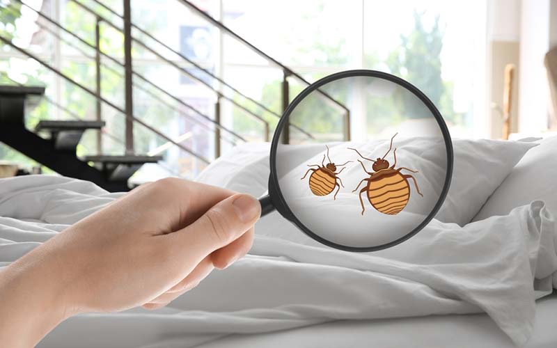 carpet cleaning in new York, carpet cleaning in new york, carpet cleaning new York, carpet cleaners in new York, carpet cleaners in new york, commercial carpet cleaning, commercial carpet cleaning in new York, new York rug cleaners, rug cleaning services in new York, same day carpet cleaning, same day rug cleaning